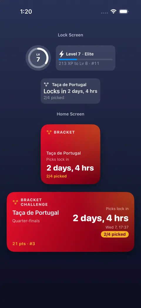 The app's widgets