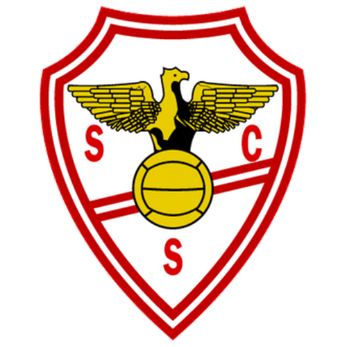 SC Salgueiros Logo