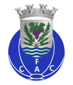 C. Ansiães Logo