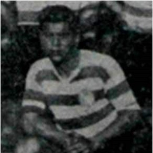 Rui Carneiro