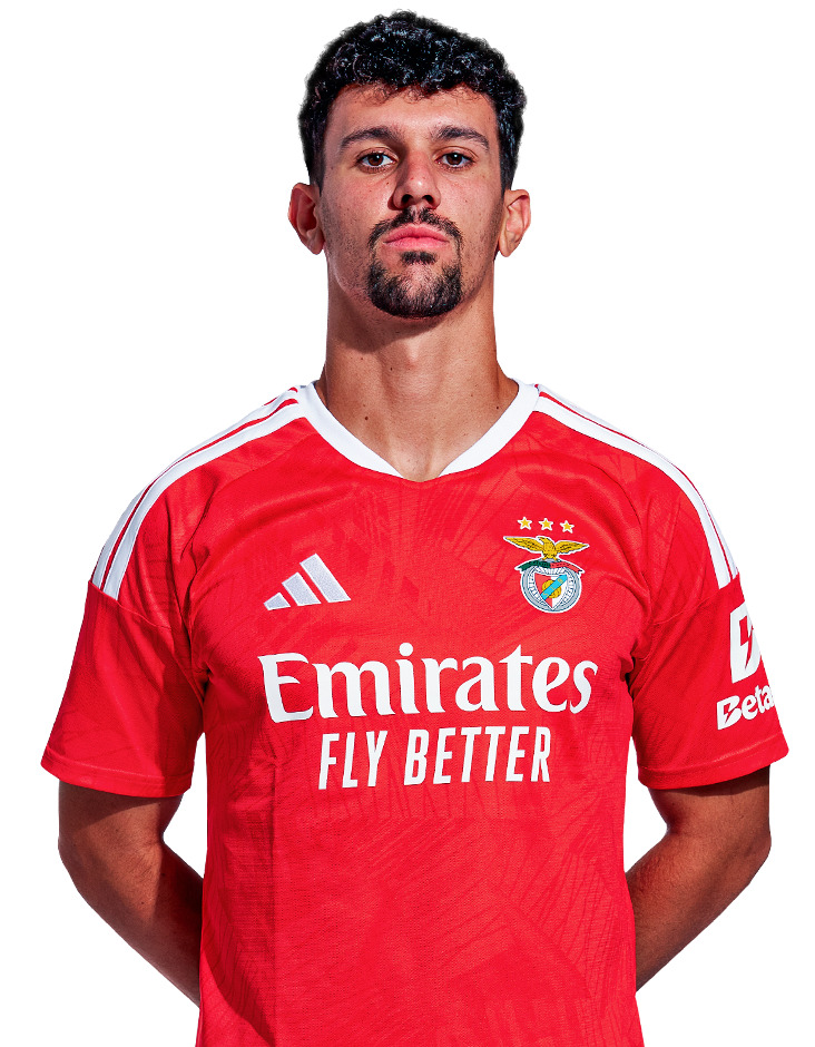 Tomás Araújo