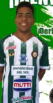 Derlis Mereles