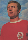 Diamantino Costa
