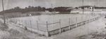 Estádio da Avenida